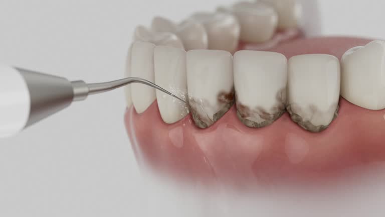 Reliable Dental contractor in Harrison, MI by Dentist Open Now